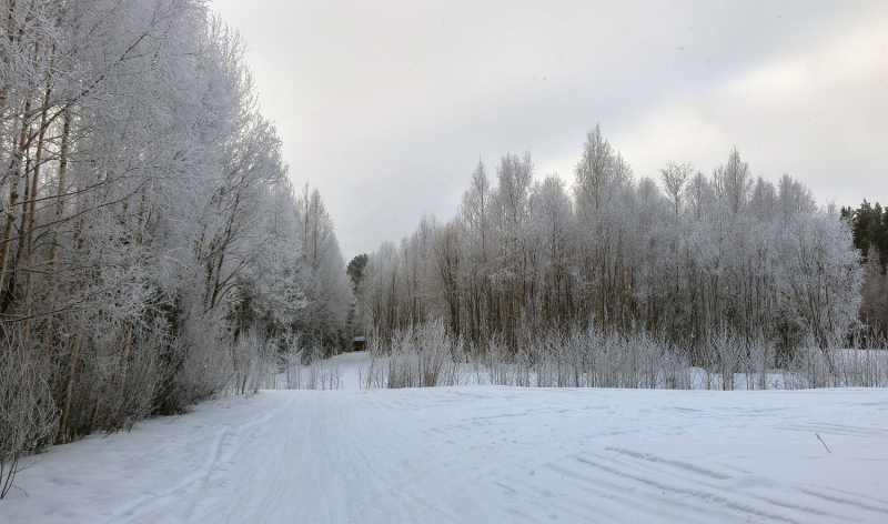 Imaginary Karin - winter scenery