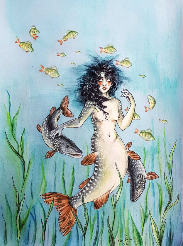 Drawing of a Northern pike mermaid