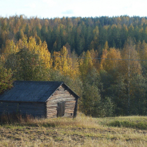 Imaginary Karin - old barn in autumn